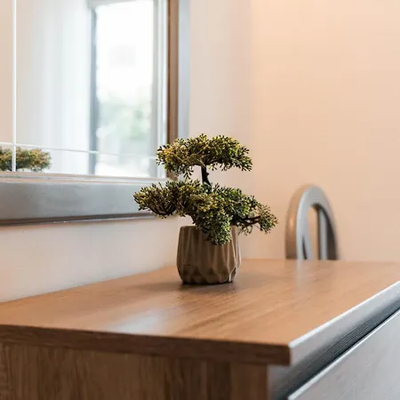 Apartman Julieta Albufeira